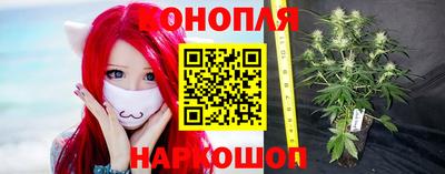 шишки Дубна