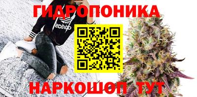 спиды Гусев