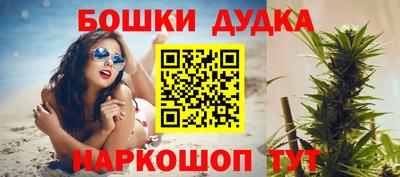 шишки Дубна