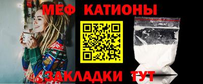 шишки Дубна