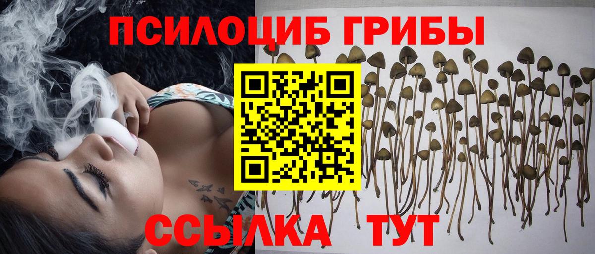Псилоцибиновые грибы мухоморы Дальнегорск